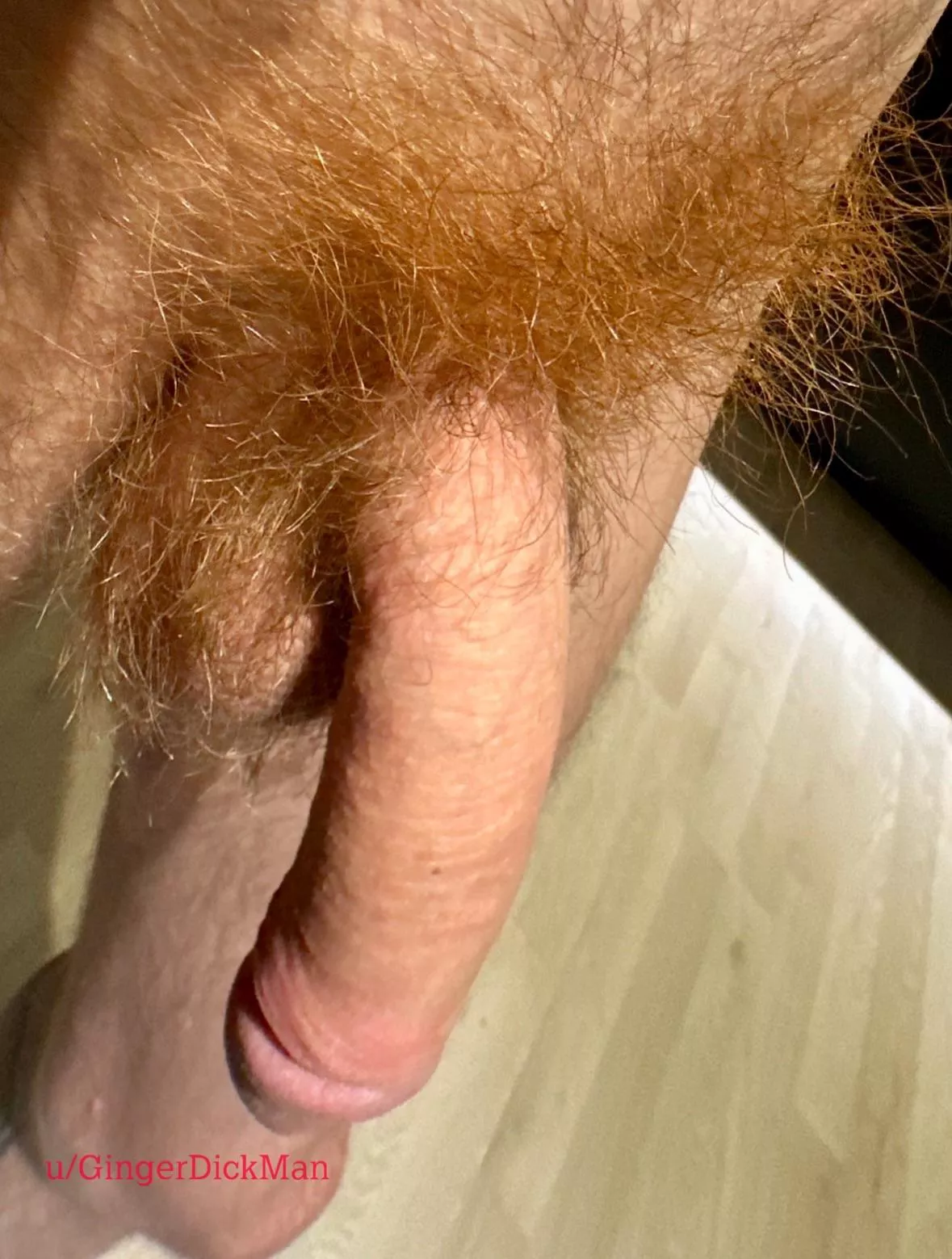 My pubes are long and wild now. Shall I get more hairy for you or trim it