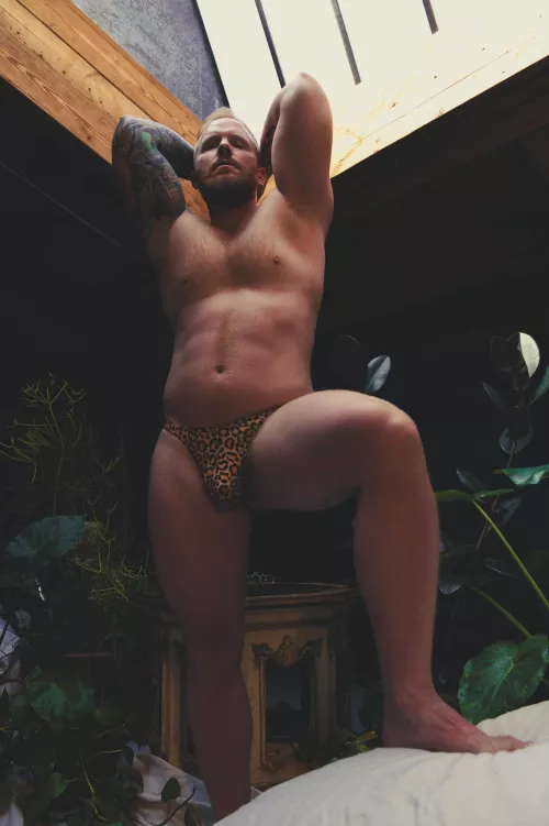 Want to give it a little touch?