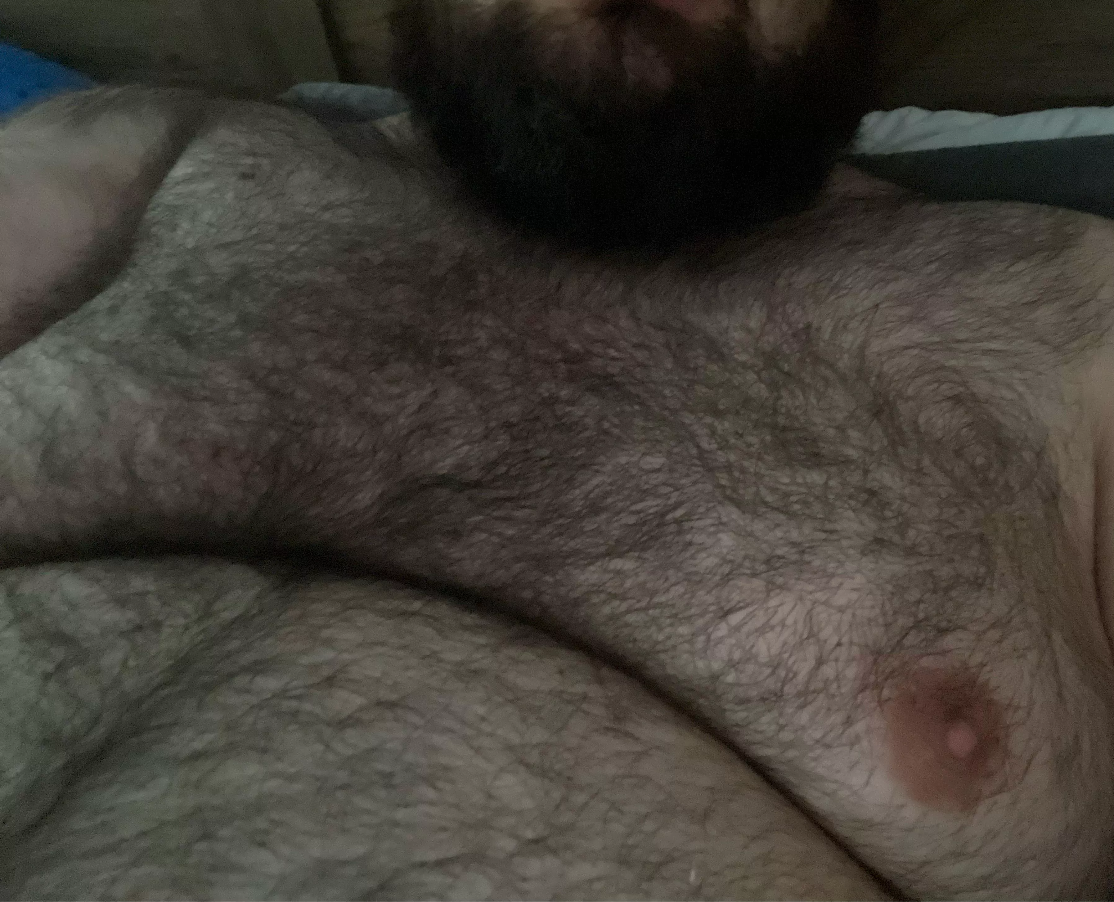 You going to run your hand through a field or a forest?