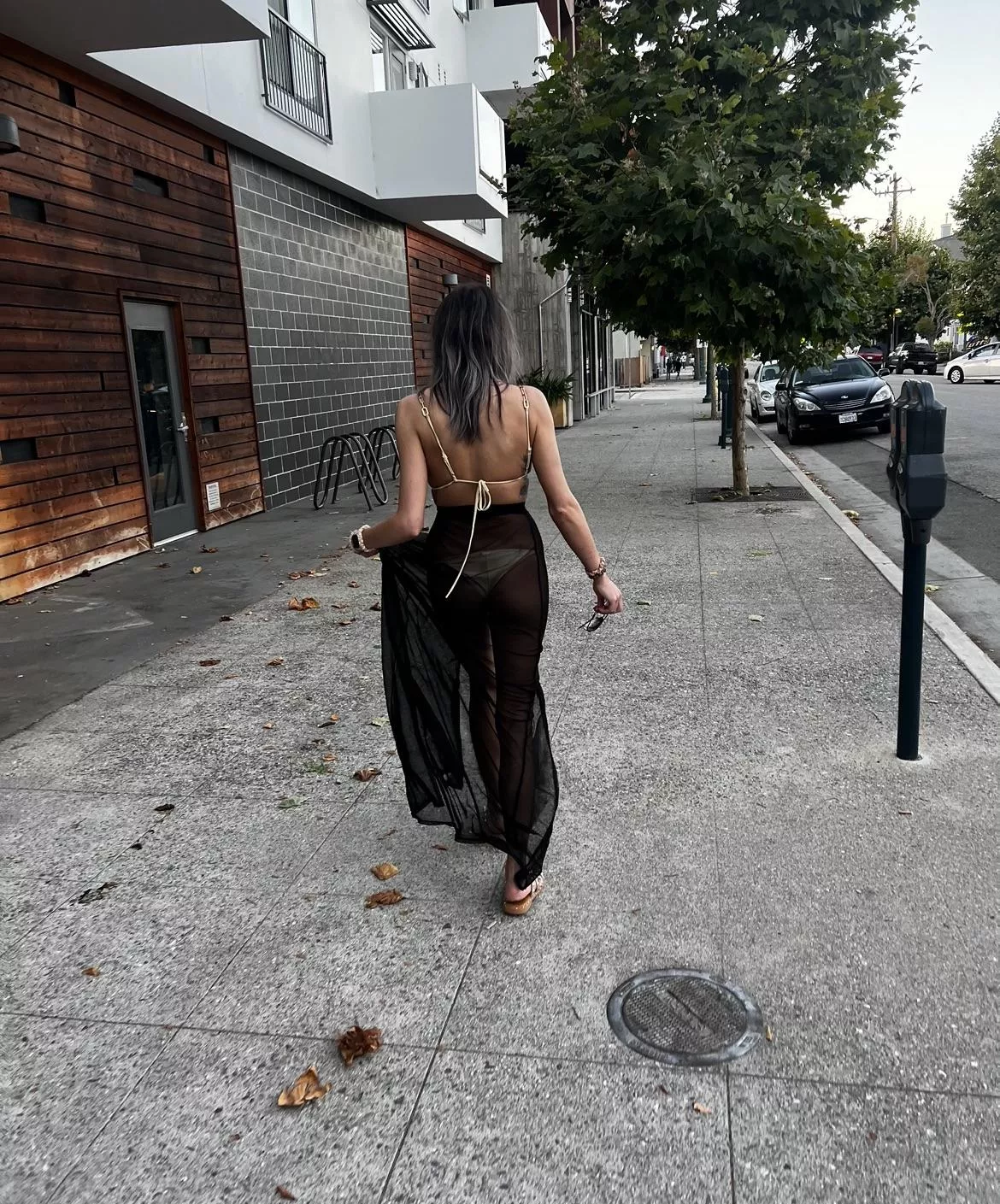 a rare sighting in the wild