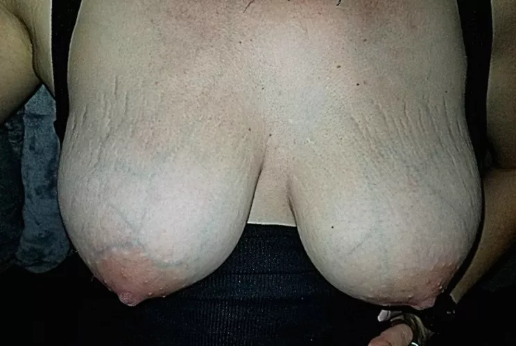 Enjoy the view of my tits perverts