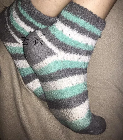 [F] [Selling] Fuzzy winter socks create the best smell