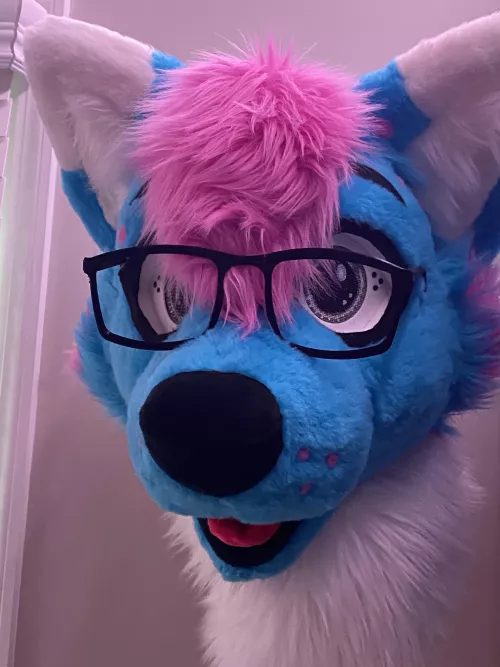 Gave my boi glasses, now I’m in love with them lmao.