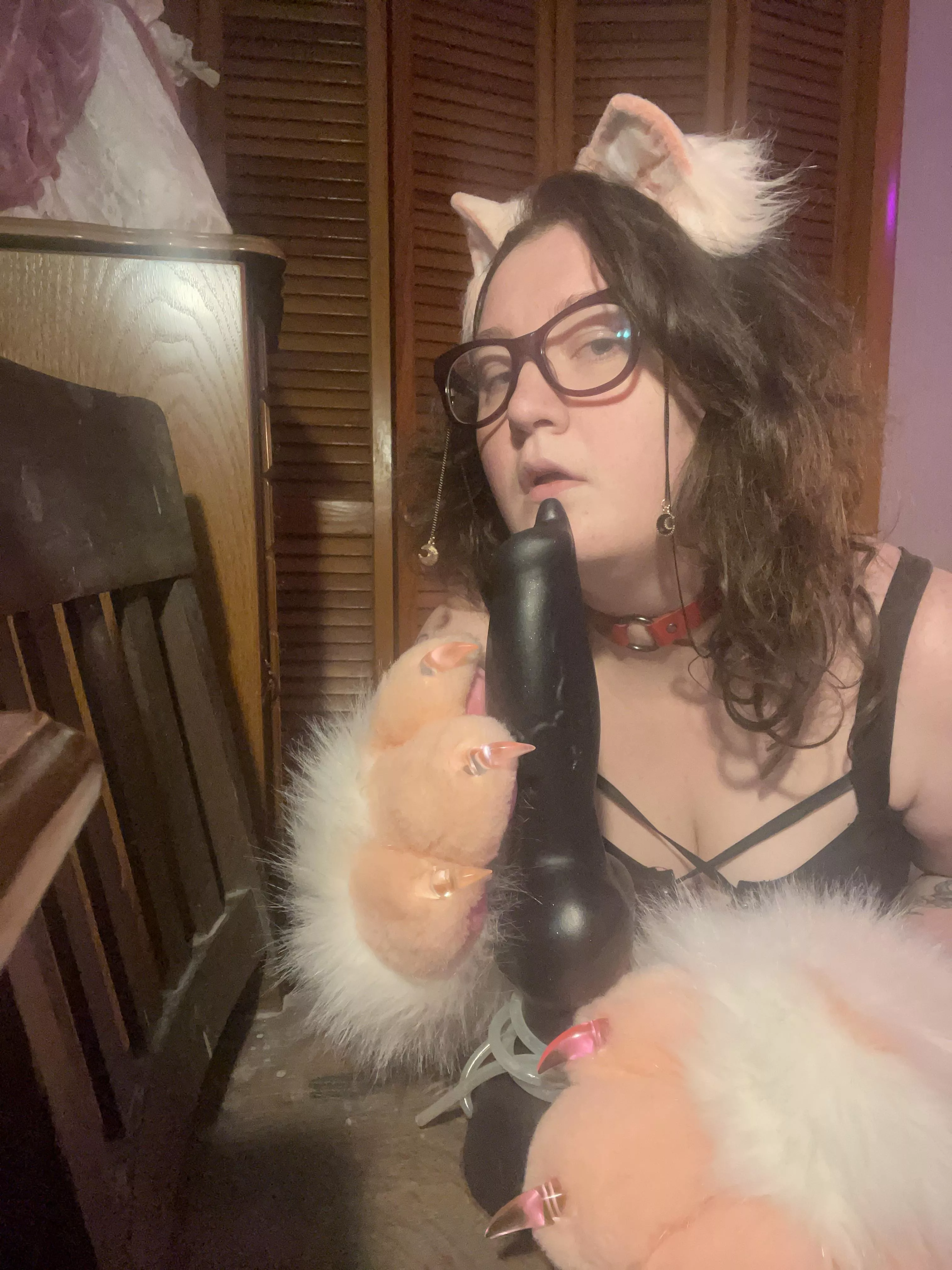 i loooove my xl rex, and it gives kitty plenty of milk :3