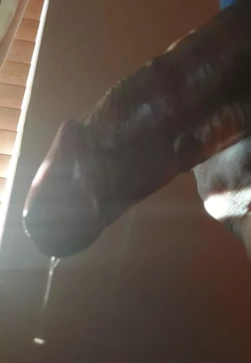 I woke up today, so horny💧