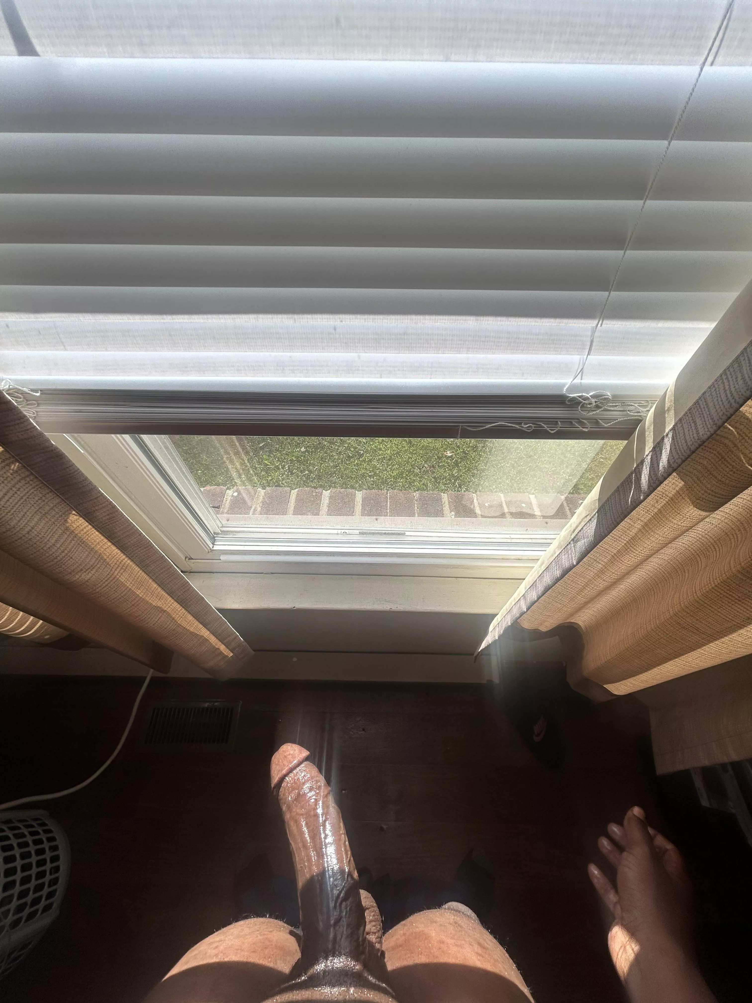 i wonder if my neighbors saw me 😅