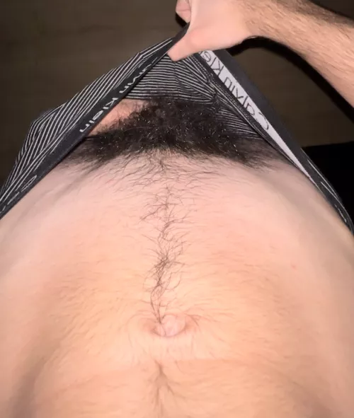 is this a nice bush for a 18 year old teen?