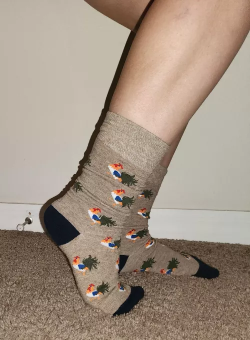 Little Chickies☺️