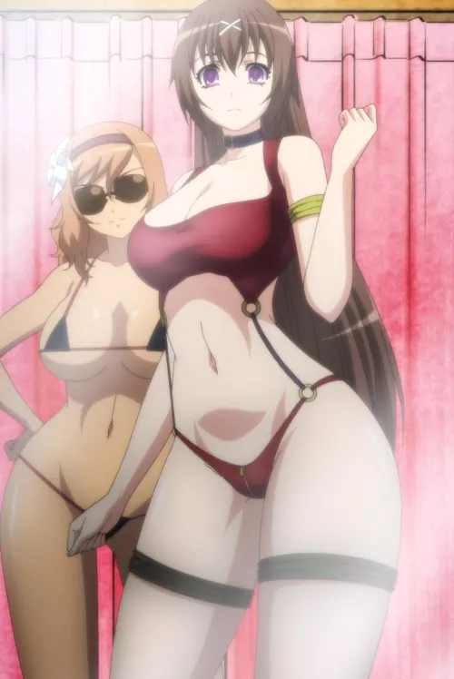 Mataemon Araki and Tokugawa Sen [Hyakka Ryouran Samurai Girls]