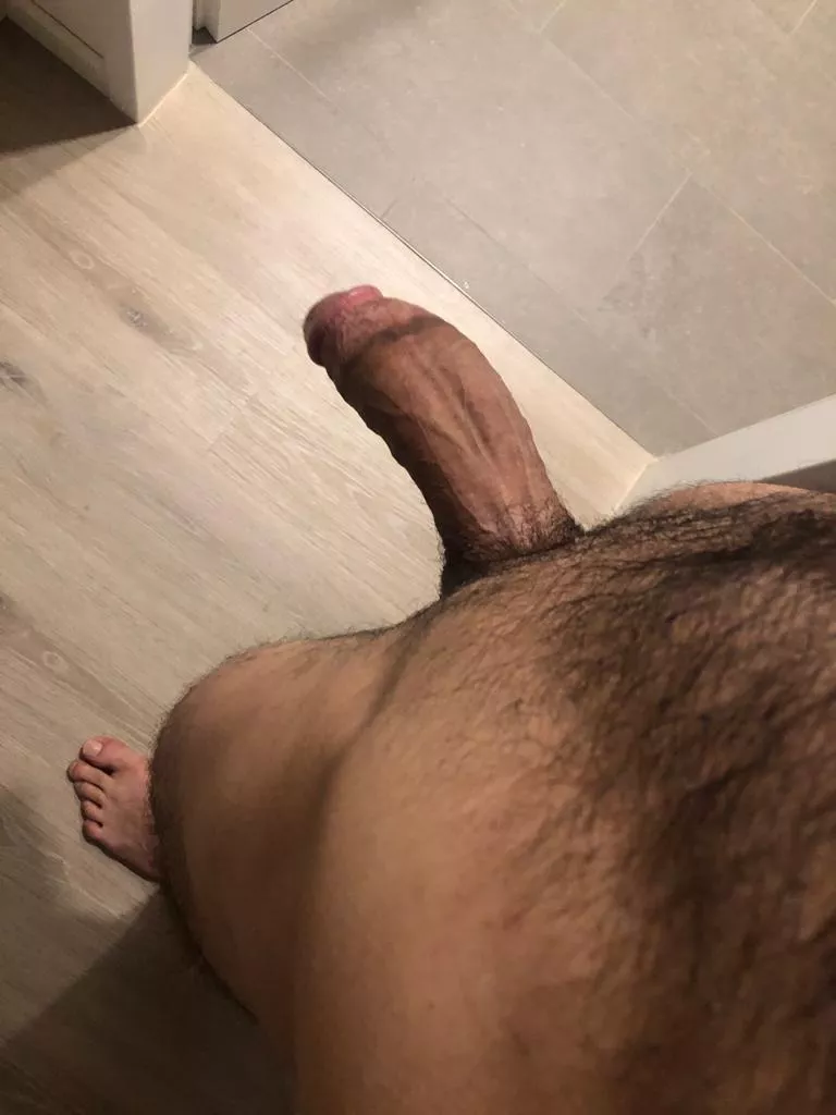 My fat Tunisian dick, what do you guys think?