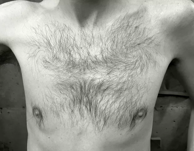 My modest contribution