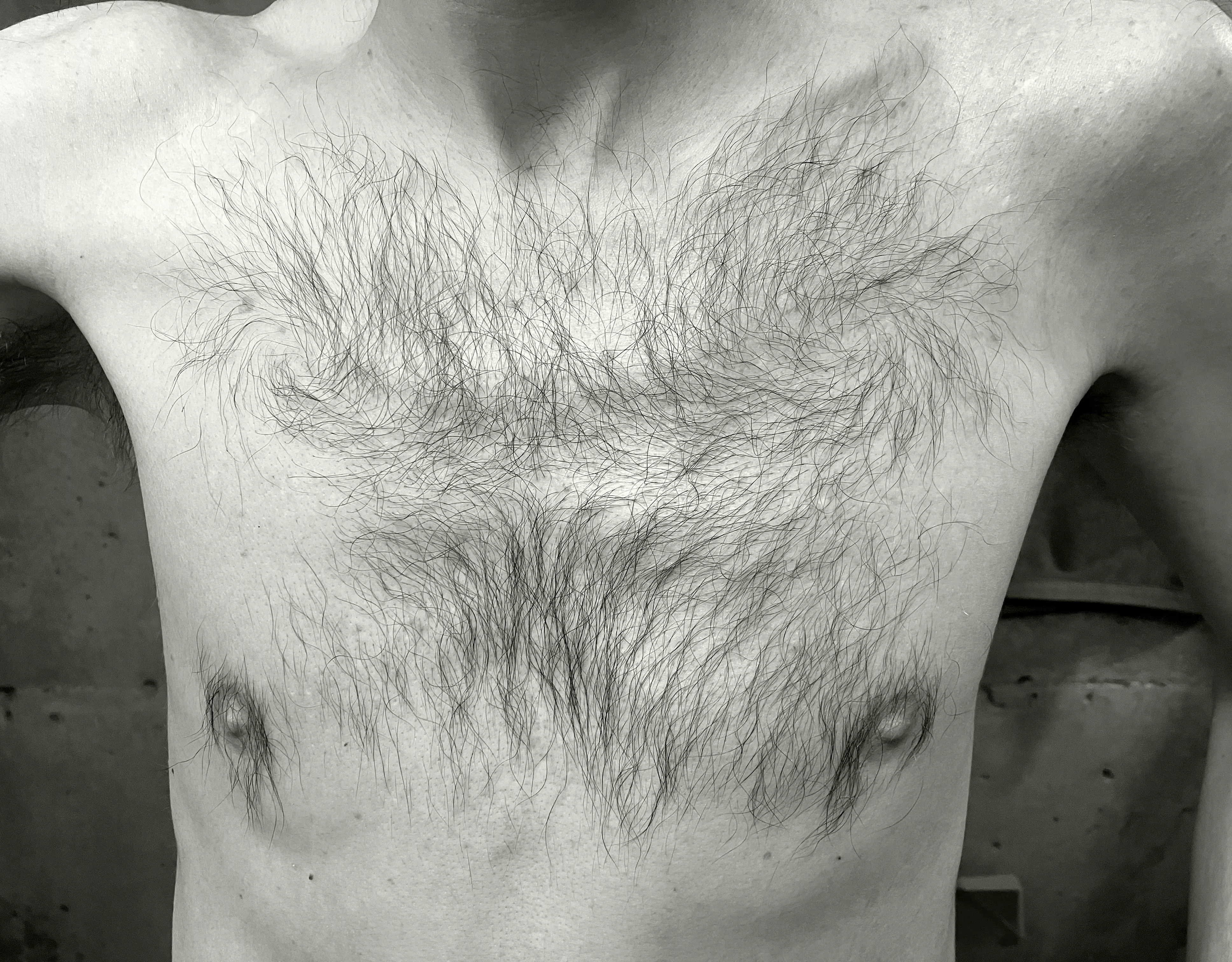 My modest contribution