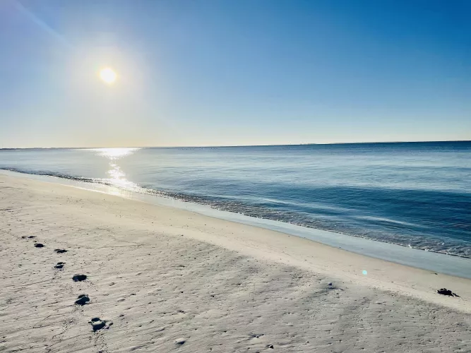 Nothing but Footprints: Florida Panhandle