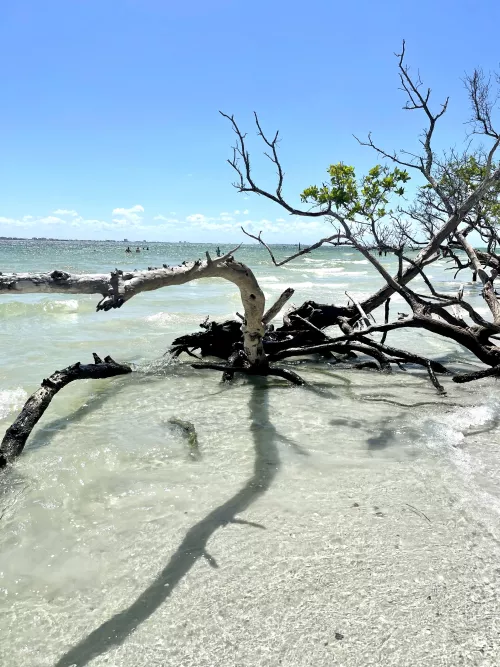 Sanibel Island at Lighthouse Point