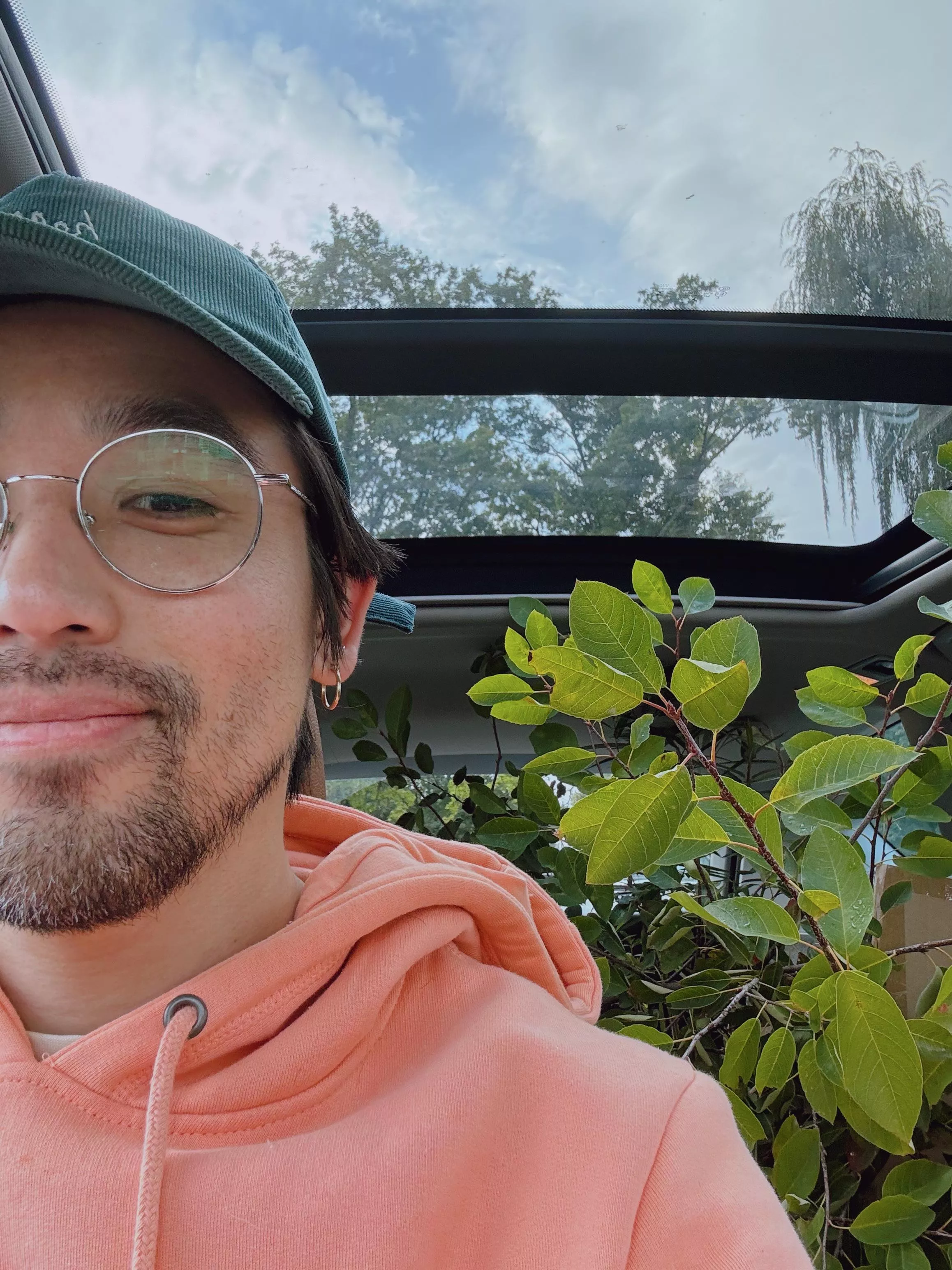 taking home the babies