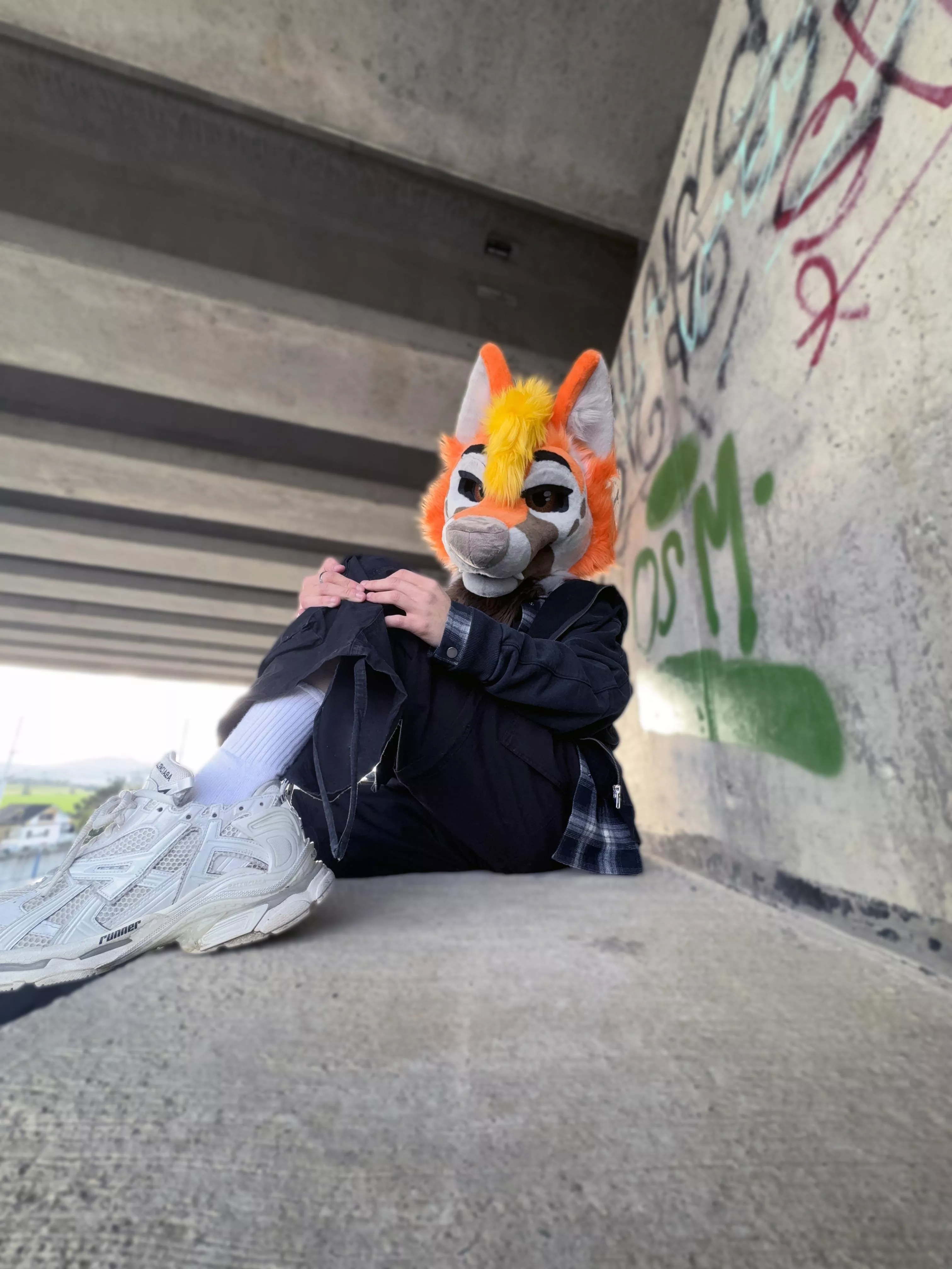 Who doesnt love a white sock right? 🧦 🐾