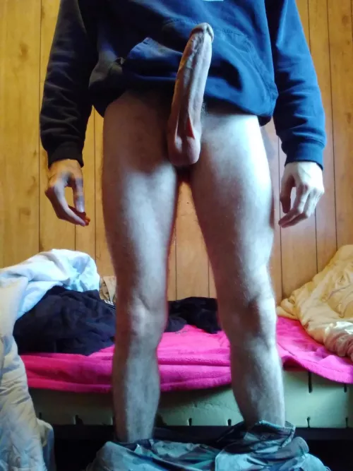 Would you let me breed you?