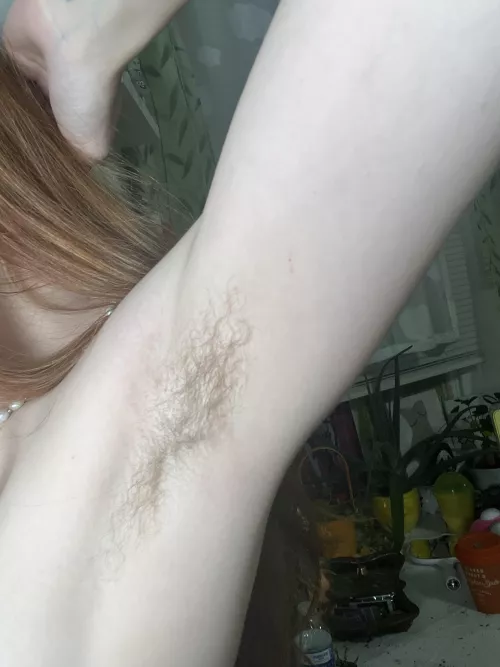 Would you lick hairy armpits