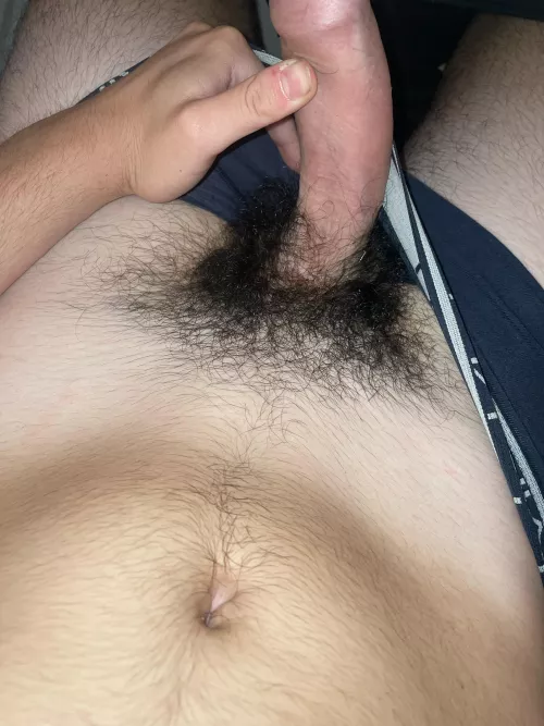 19m always get Horny over extremely hairy guys the hairier the better honestly Add Pickle9918
