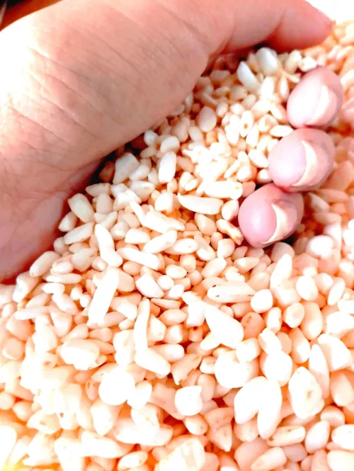 Cultivating excellence, delivering satisfaction ❤