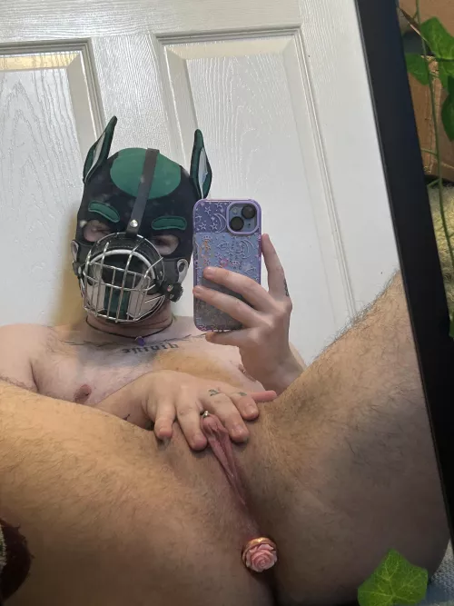 Hellhounds who get muzzled because they get overexcited and bite <3