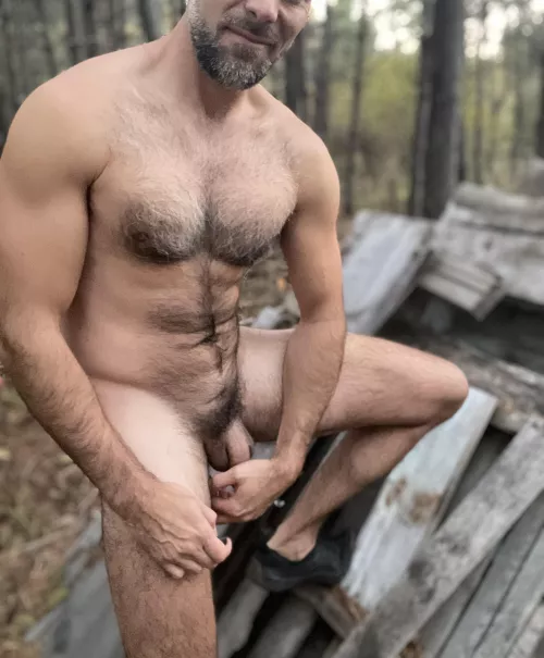 How much do you like a hairy chest?