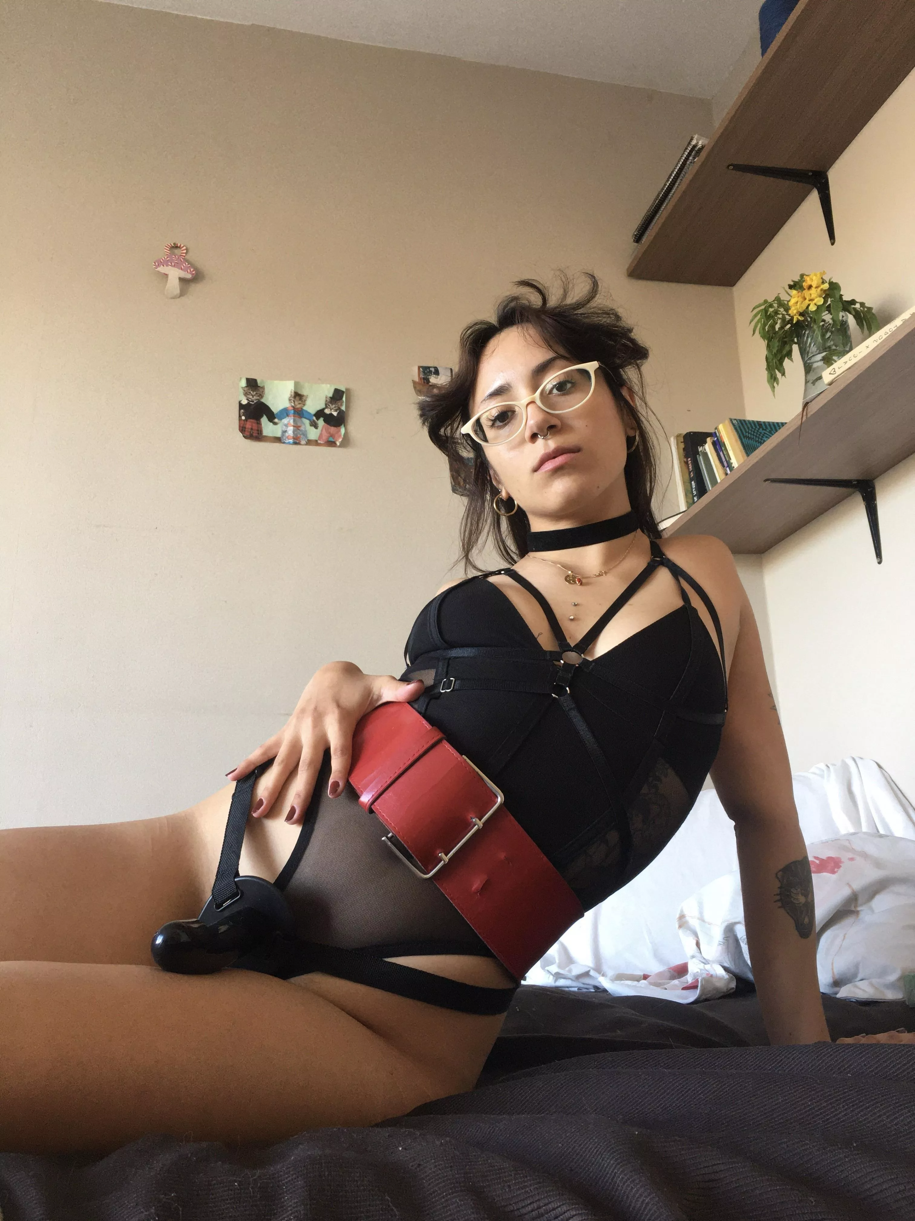 I want to train a puppy