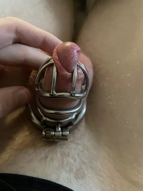 I was super excited to try this new cage but my dick keeps squeezing through. Any idea of how to stop this?