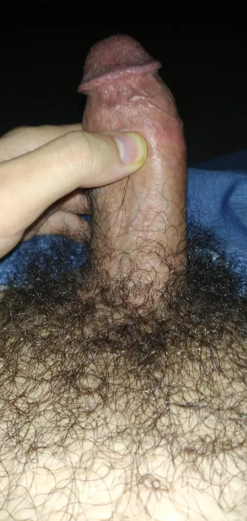 Messy bush and a slightly thick cock