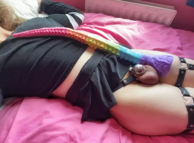My nub cage looks adorably small next to this 20 inch tentacle, wouldn't you agree? 💗