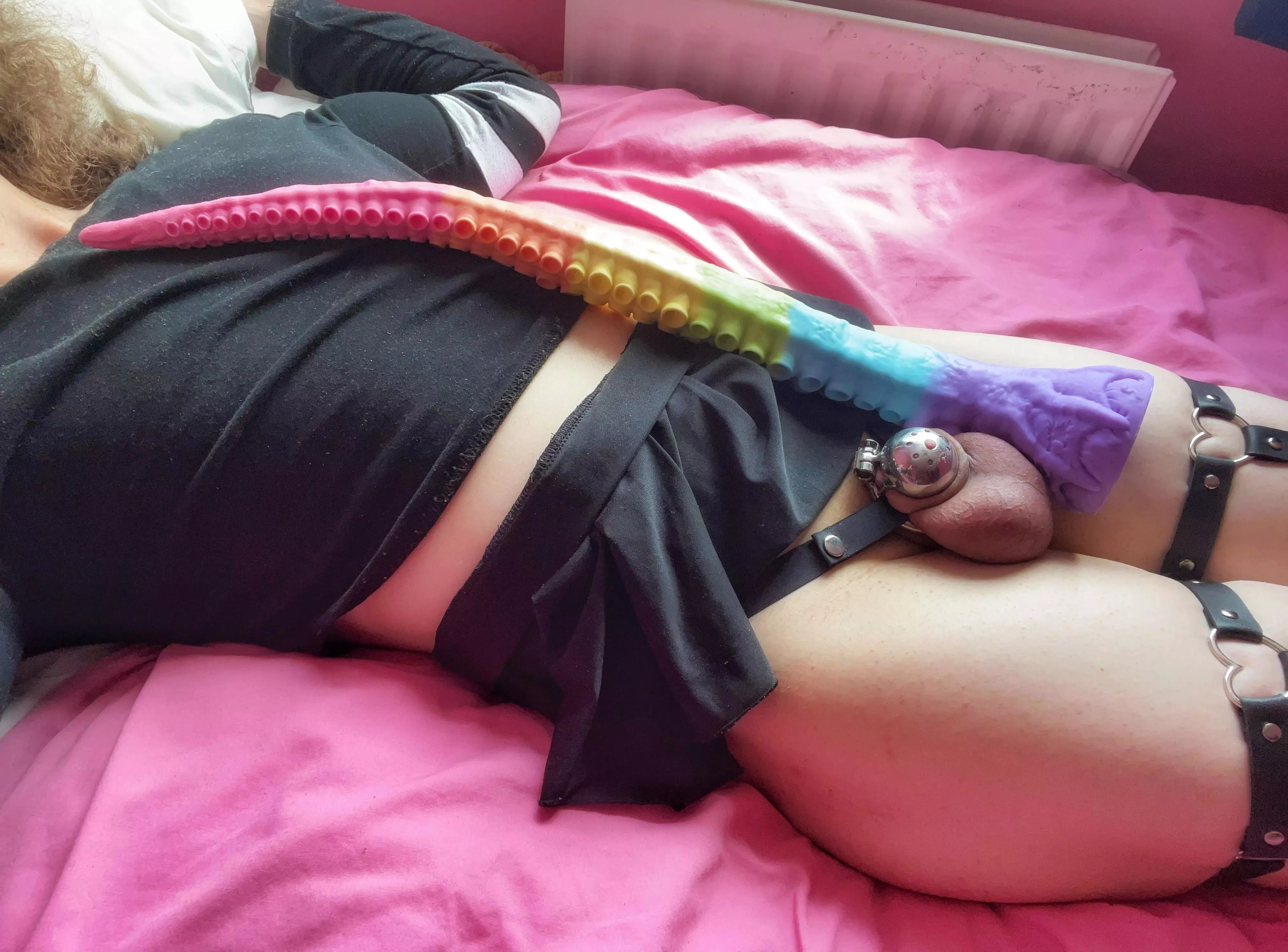 My nub cage looks adorably small next to this 20 inch tentacle, wouldn't you agree? 💗