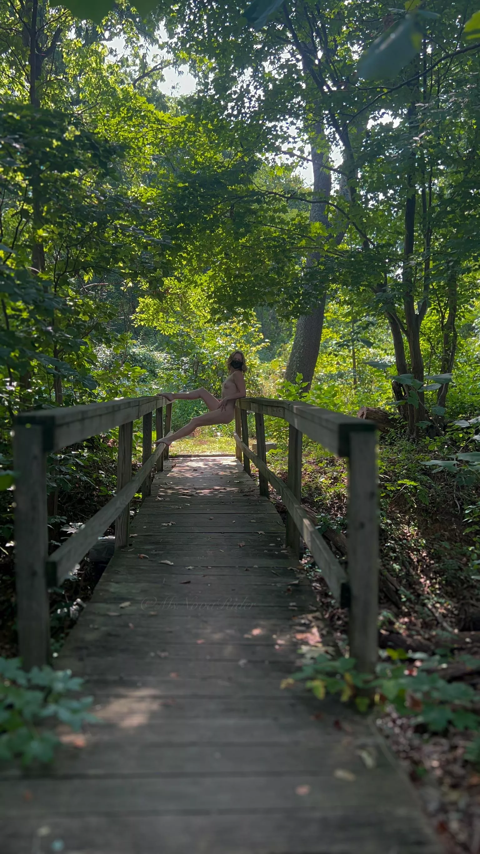 On the wooden bridge