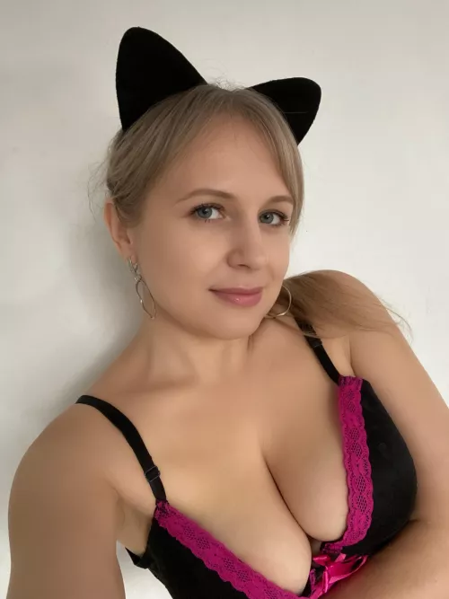 Sexy cat wants to play