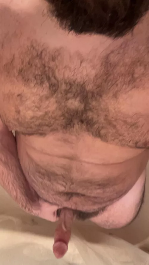 Worship this bear body and cock