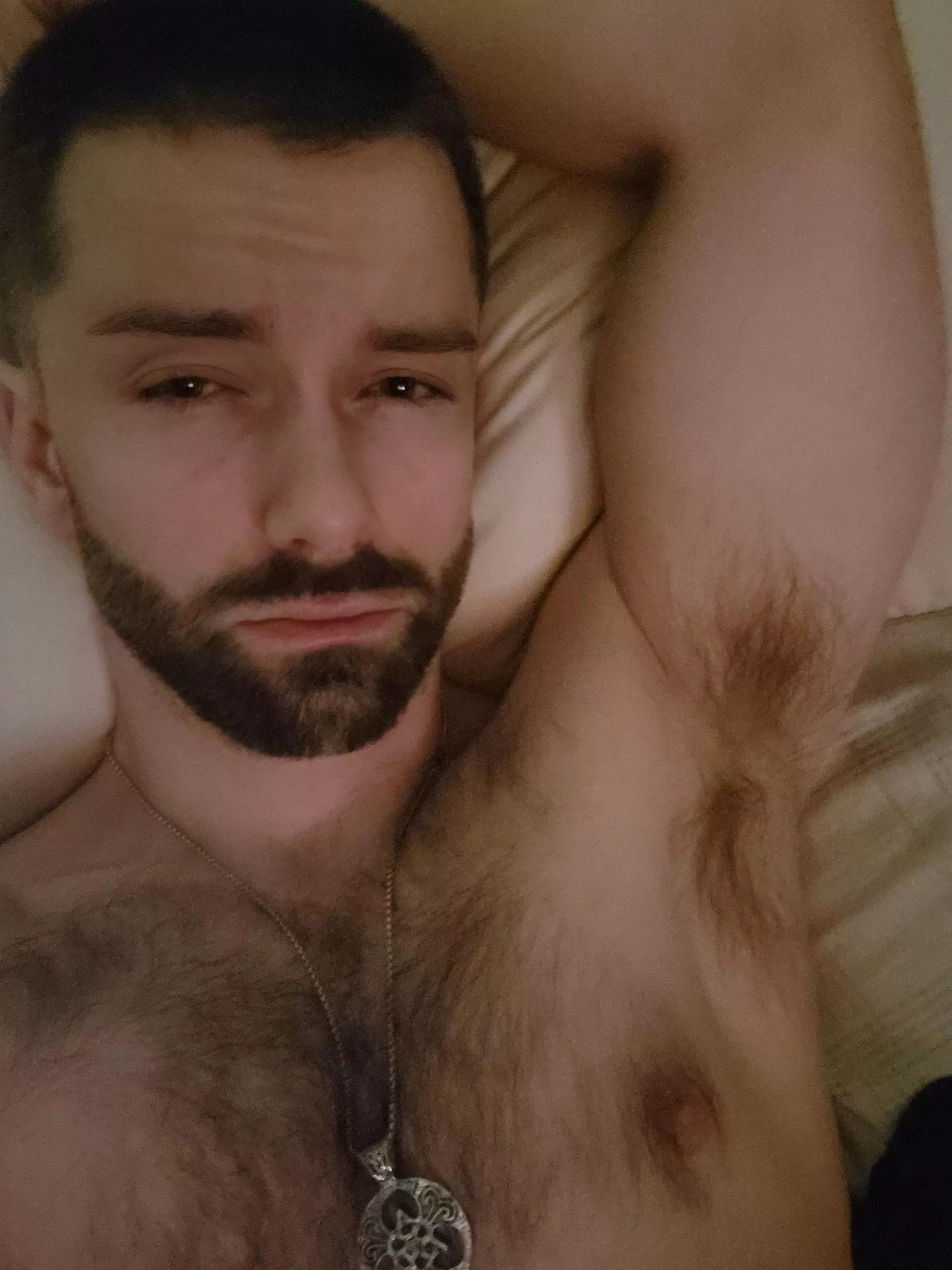 Would you sniff me while I was sleeping next to you?