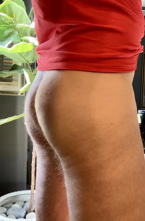 (38) hairy dad 🍑