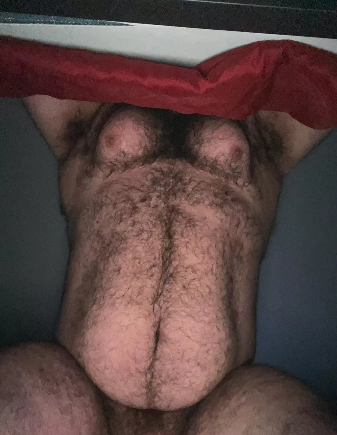 Are you lickin or stickin?🐻