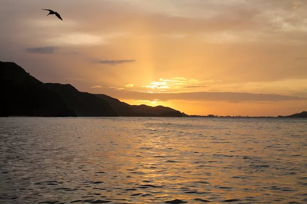 beautiful sunset on the beach