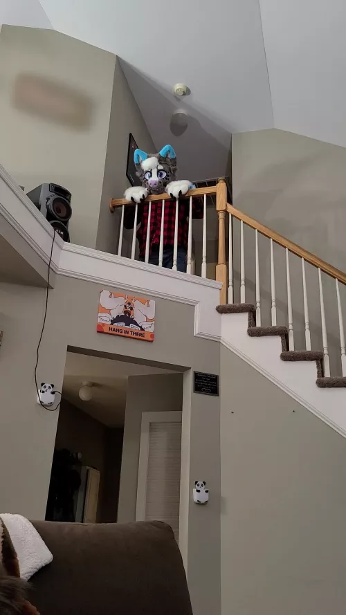 He's watching from above!