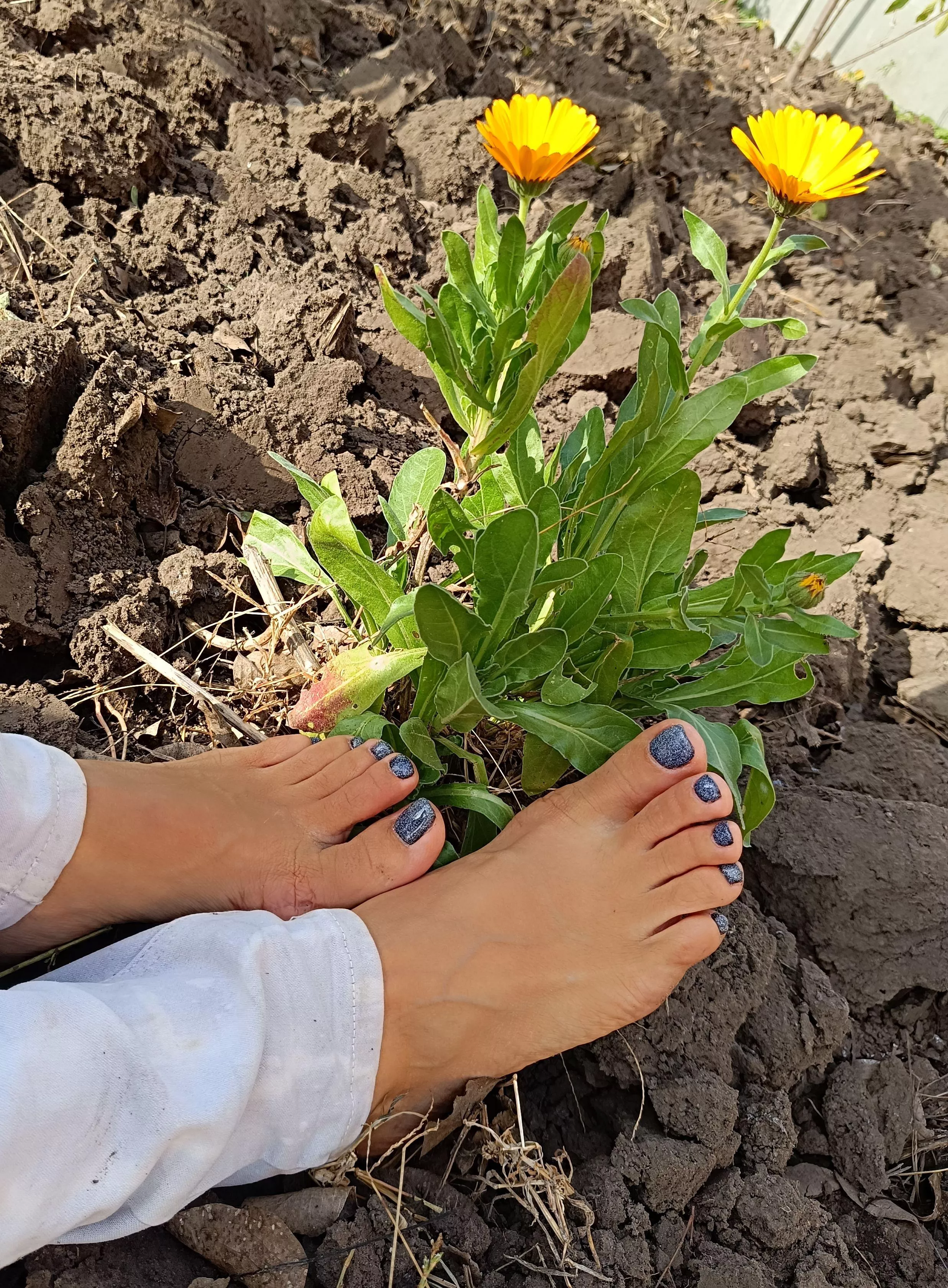I dug up the garden and sat down to rest.