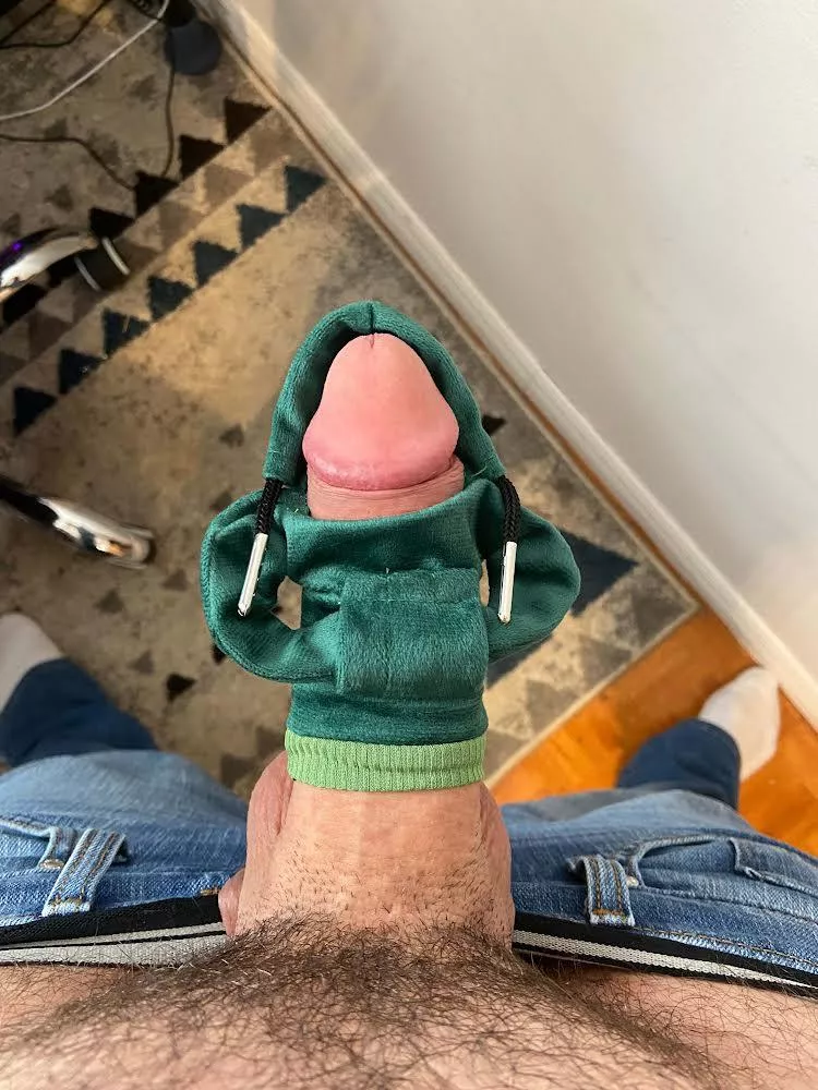 I got my Woody a Hoody