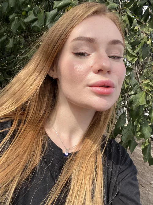 IUTR ginger kitty🐱