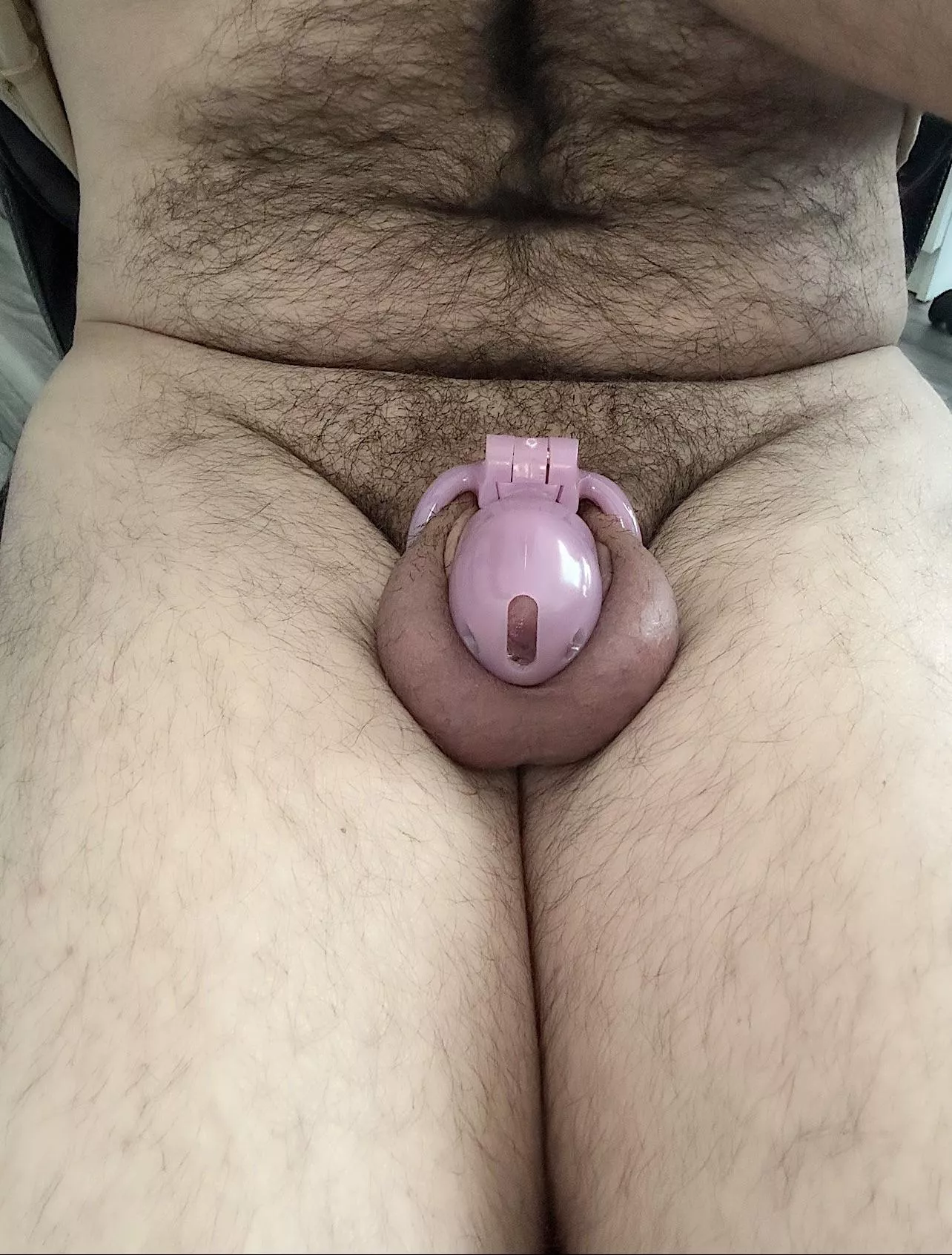 Just bought my first sissy cage