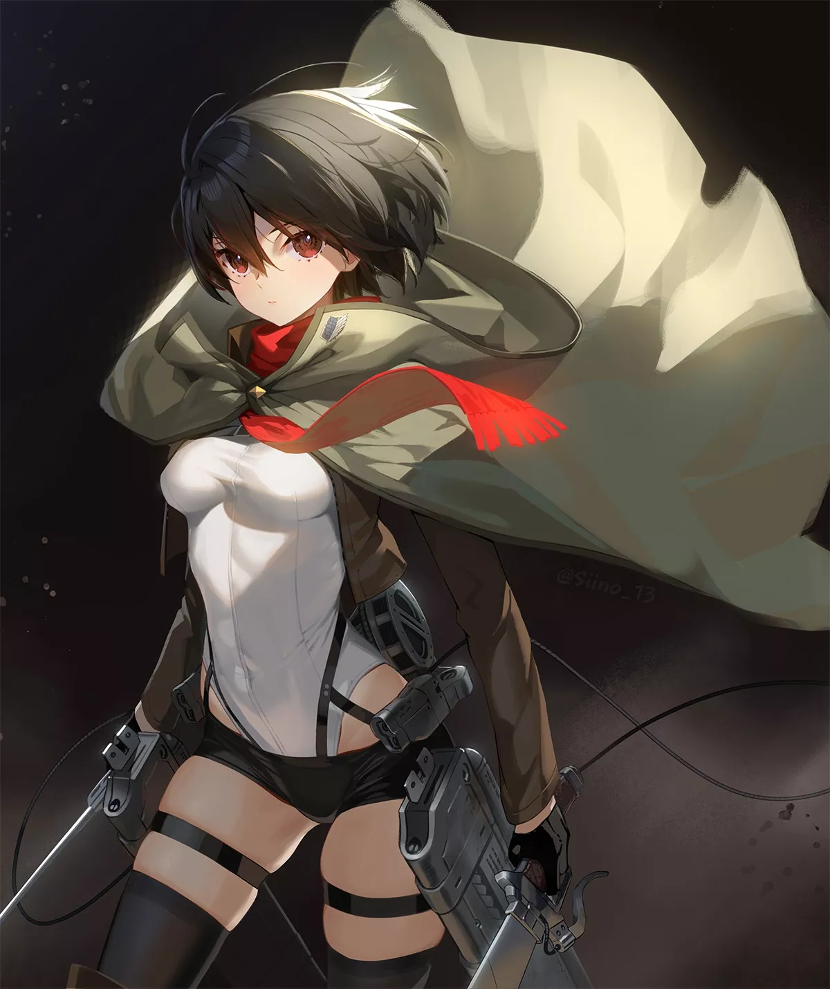 Mikasa Ackerman [Attack on Titan]