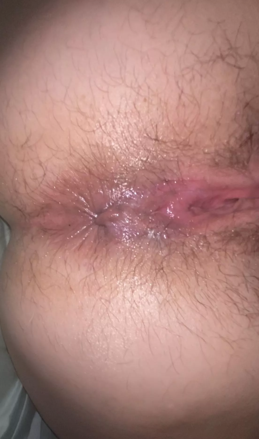 My [h]airy asshole or pussy, which would you take first?