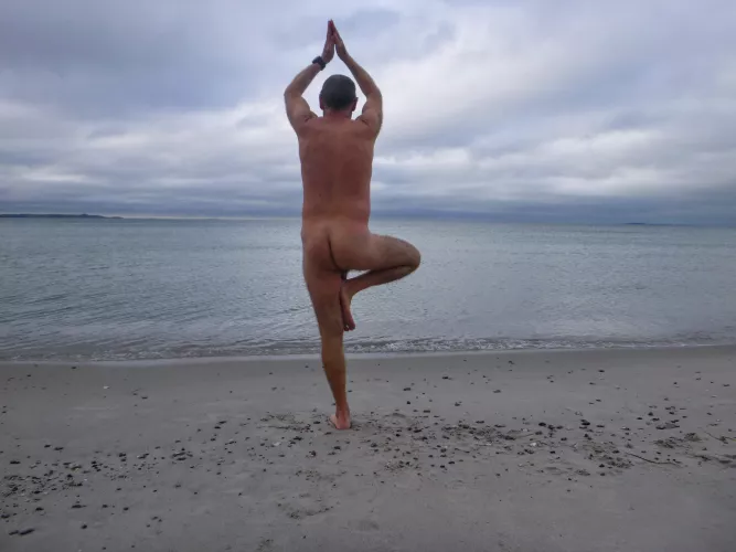 Some trees pose in the surf.... weird!