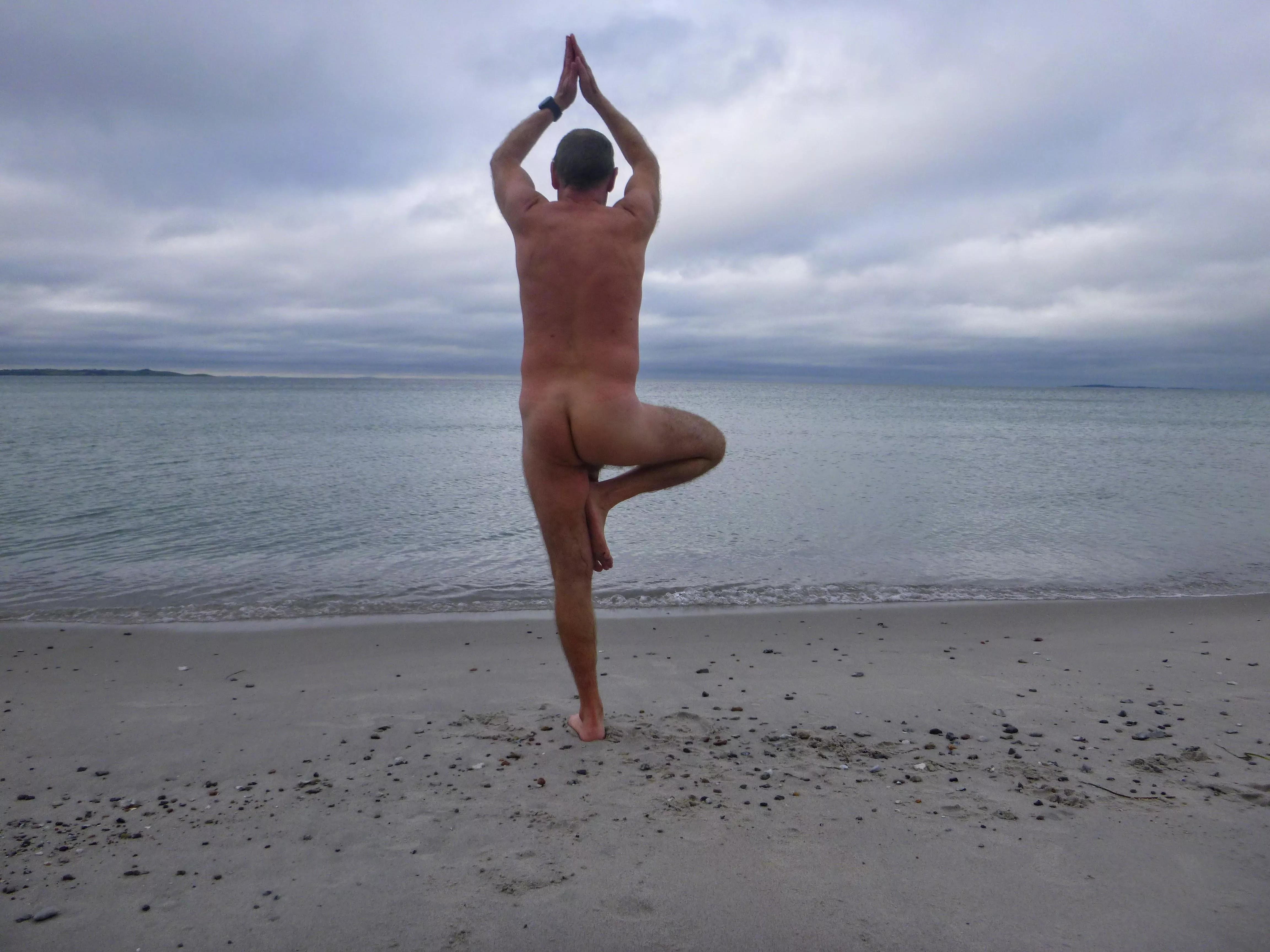 Some trees pose in the surf.... weird!