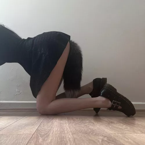 This is how I wait for you to come home 🐾