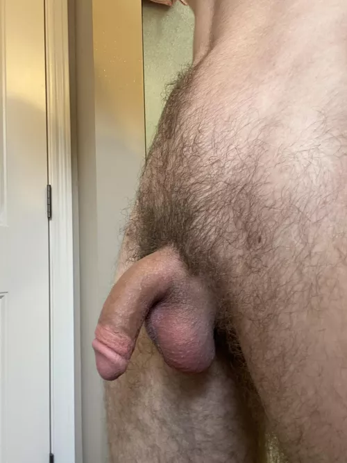 Would you rather suck my soft cock or big balls