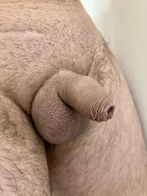 Any love for a smaller foreskin?